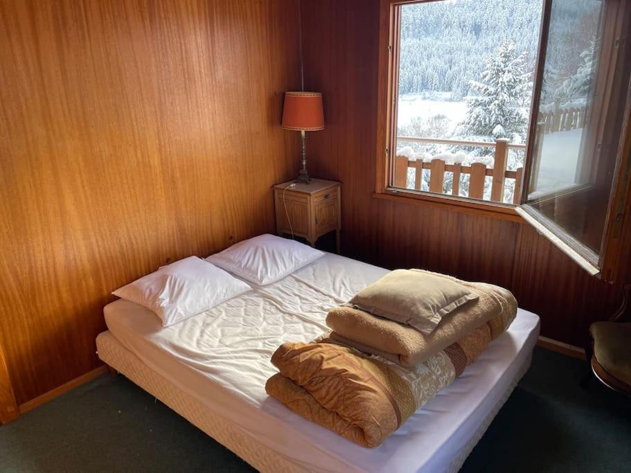 Chalet Situe Au Grand Valtin Villa Ban-sur-Meurthe-Clefcy Ngoại thất bức ảnh